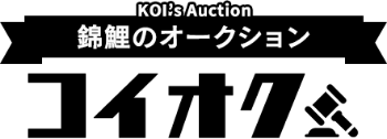 KOI's Auction